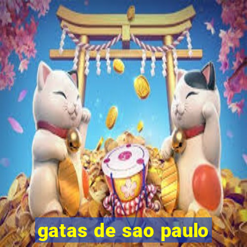 gatas de sao paulo